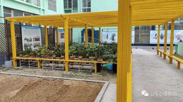 杨辉博士赞叹山东心康集团：创新模式助精神病患者融入社会，医院引导先进科技提升治愈几率！