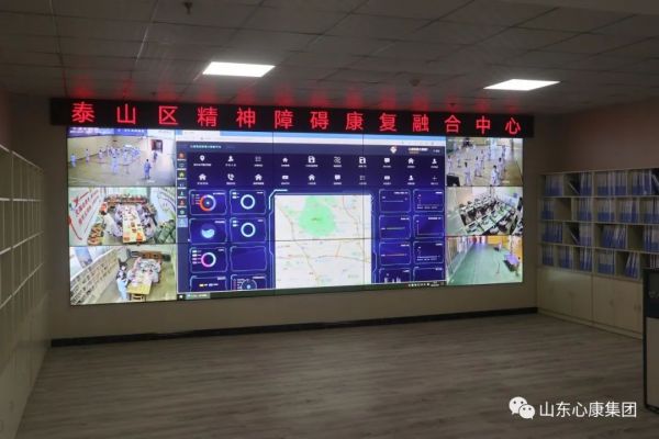 杨辉博士赞叹山东心康集团：创新模式助精神病患者融入社会，医院引导先进科技提升治愈几率！