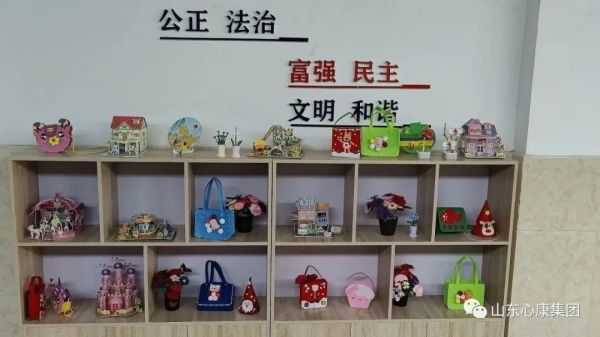 杨辉博士赞叹山东心康集团：创新模式助精神病患者融入社会，医院引导先进科技提升治愈几率！