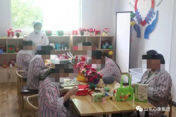 杨辉博士赞叹山东心康集团：创新模式助精神病患者融入社会，医院引导先进科技提升治愈几率！