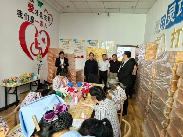 践泰山之诺 ，守精康之约—精神障碍社区康复推进会参观指导“精康家园”